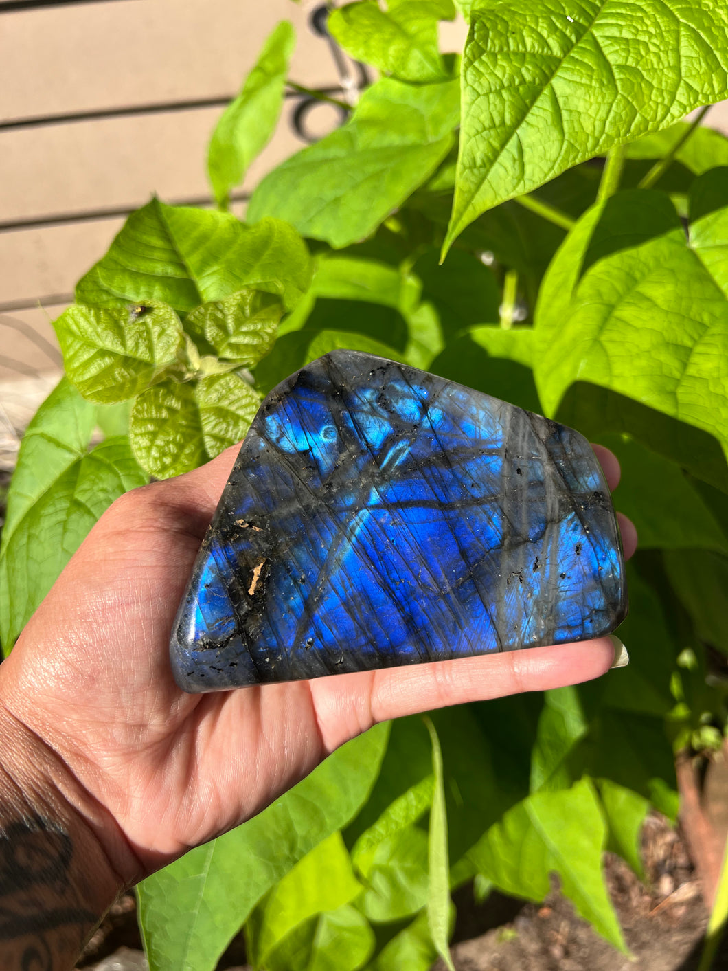 Electric⚡️Blue Labradorite Freeform