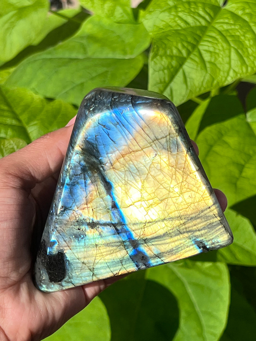 Golden Flash☀️ Labradorite Freeform