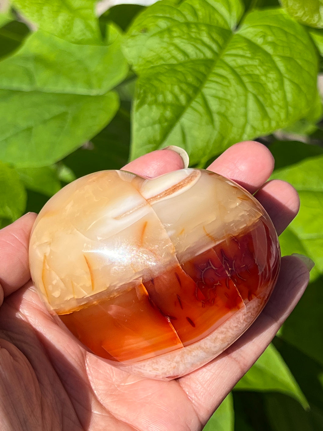 Carnelian Crystal Heart ♥️