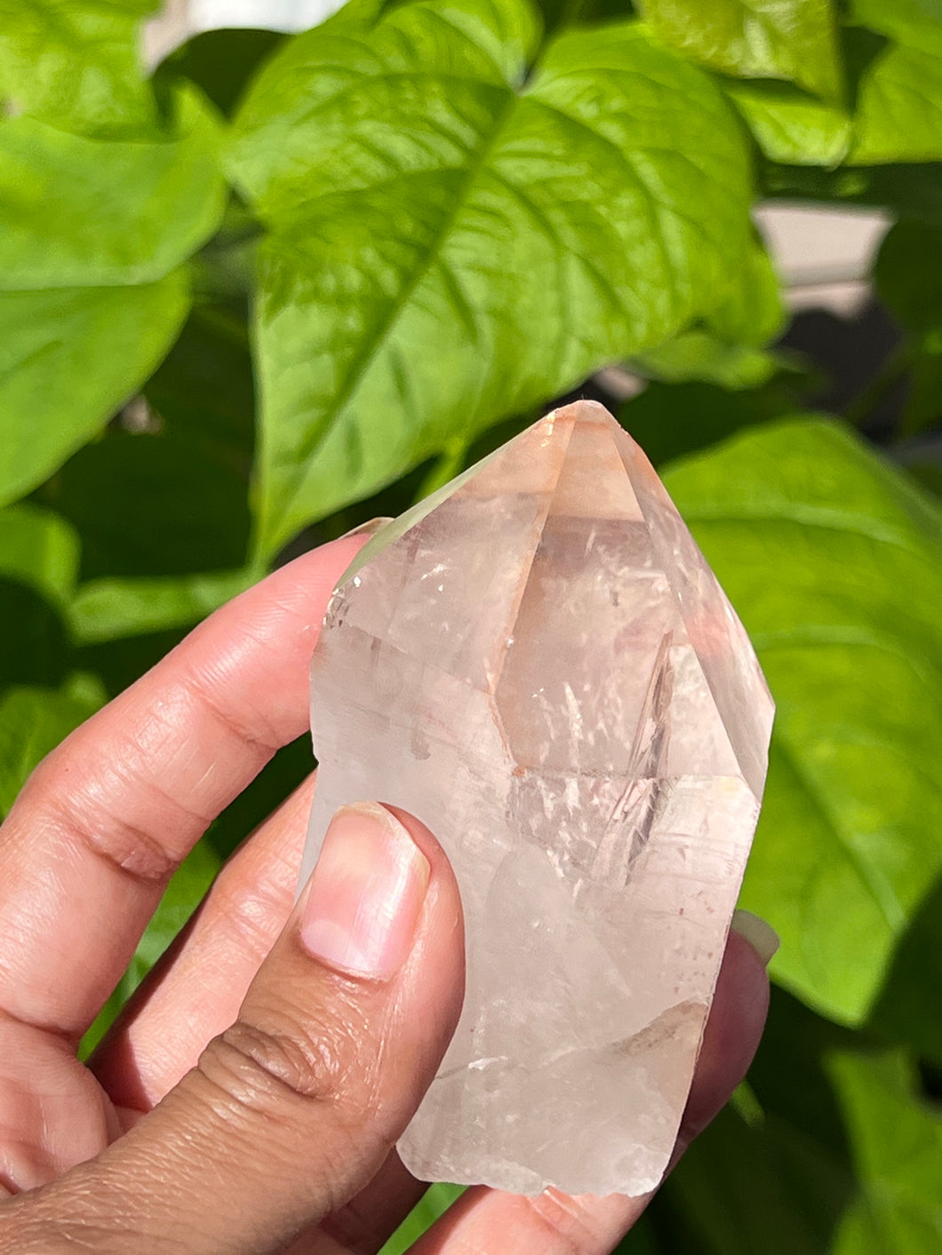 Clear Quartz Crystal Point